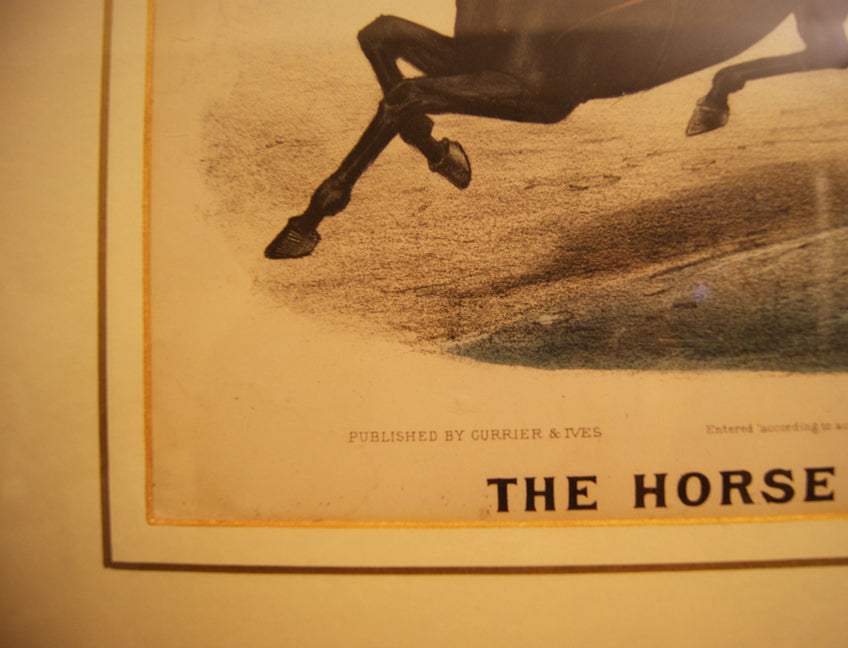 The horse that took the pole - Litografia a colori fine '800