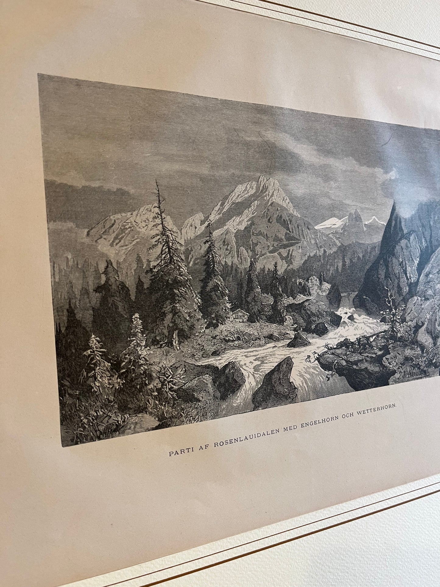 Engelhorn och Wetterhorn - Incisione originale fine '800